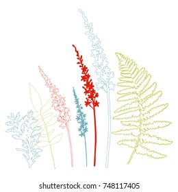 Floral vector botanical illustration with different hand drawn leaves, wild flowers and plants
