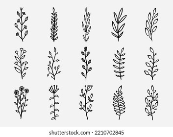 Floral vector branch set. Botanical hand drawn elements. Herb leaf line collection. Nature leaves decoration elements for wedding and card design.