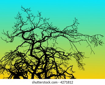 floral vector branches background