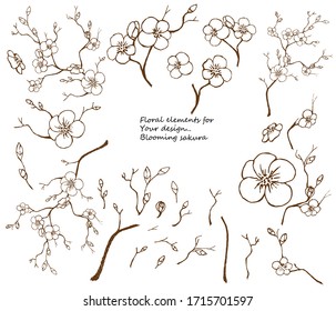 Floral vector card for your design, 
constructor. Sakura twigs with blooming flowers. 
Vector illustration with hand drawn elements, ink style. 
Black outlines isolated on a white background.