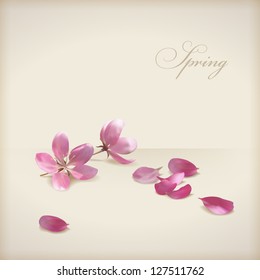 Floral vector cherry blossom flowers spring design. Pink flowers, freshly fallen petals and text 'Spring' on a beige background in modern style. Can be used as wedding, greeting or invitation card