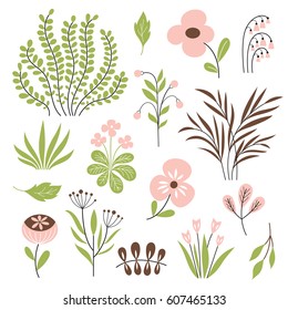 Floral vector collection