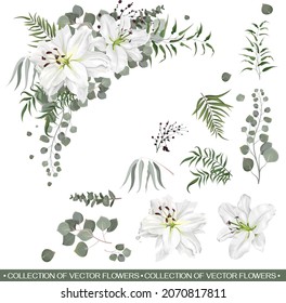 Floral vector collection. White royal lilies, eucalyptus, green plants and leaves. Flower compositions on white background. All elements are isolated on a white background.