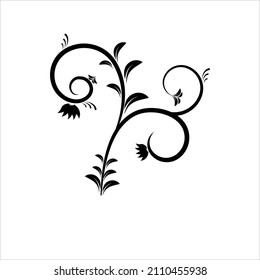 Elemento de diseño de vector floral en fondo blanco de ilustración