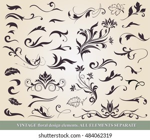 Floral vector design elements and page decoration. 