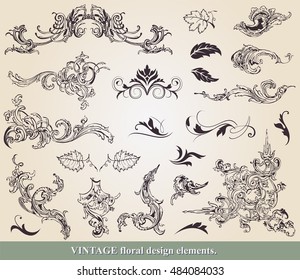 Floral vector design elements and page decoration. 