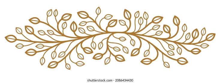 Floral vector design with leaves and branches isolated over white, classical elegant fashion style banner or text divider for design, luxury vintage linear emblem or frame element.
