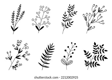Floral vector doodle set with black outline on a white background. Berry, leaves, twigs, petals. Element of nature, floristry, to create a pattern, decor for card, invitation, greeting, label.