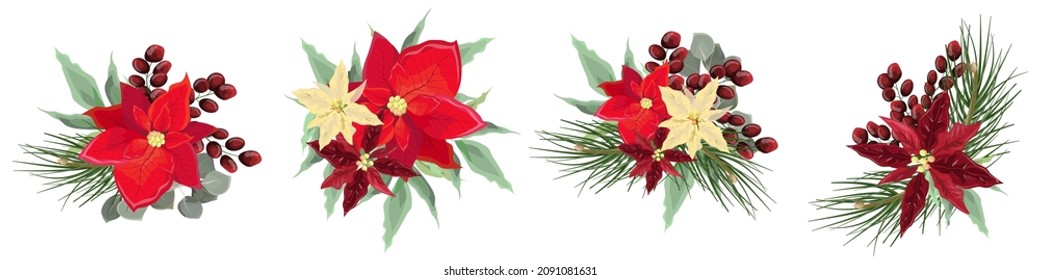 Blumenvektorelemente für Weihnachtsdesign. Rote und leichte Poinsettia, Beeren, Fichtenzweige, Eukalyptus, grüne Blätter und Pflanzen. Blumenkompositionen auf weißem Hintergrund.