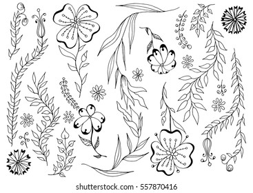 Floral vector elements. Graphic set hand drawn outline sketch