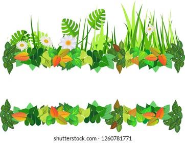 Floral vector frame design vector illustration