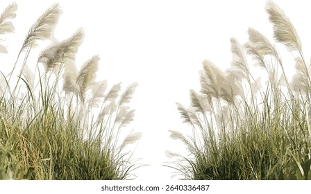 Floral vector grass fields, weed grass, summer nature, wild plants, landscape illustration, green fields, botanical design, nature wallpaper, outdoor garden, meadow background