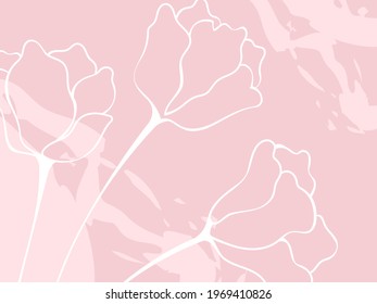 Floral vector hand drawn background with elegant line flowers