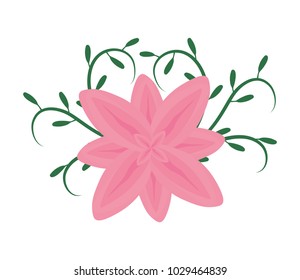 floral vector illustration