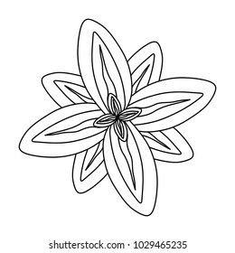 floral vector illustration