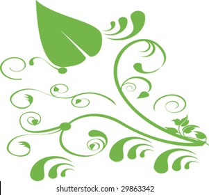 Floral vector illustration