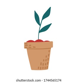 Floral vector illustration, botanical vector, house plant, flower in pot, Green plant in pot, garden flora flower, plant