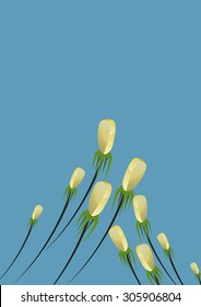 floral vector illustration design background