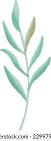 Floral Vector Illustration, Eps, Leaves, Flower, Watercolor
