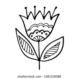 Floral vector illustration. Hand drawing flower on white background. Line art doodles. 