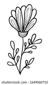 Floral vector illustration. Hand drawing flower in folk style on white background. Line art doodles.