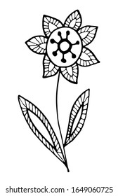 Floral vector illustration. Hand drawing flower in folk style on white background. Line art doodles.