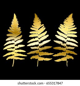 Floral vector illustration with hand drawn fern leaves. Simple thin lines silhouettes with golden texture. Isolated on black background.