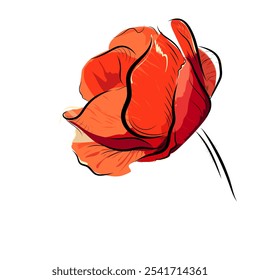 Floral vector illustration of poppy for Remembrance Day