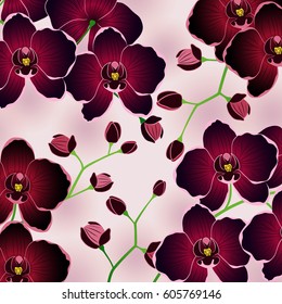 Floral vector illustration of purple orchids.