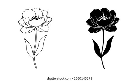 Conjunto de Ilustración vectorial floral con una hermosa flor de peonía en dos estilos, una silueta negra sólida y un elegante contorno de línea de arte.