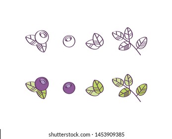 Floral vector illustrations. Thin line icon set with branches, leaves and blueberry berries