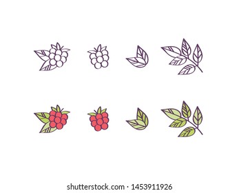 Floral vector illustrations. Thin line icon set with branches, leaves and raspberry berries