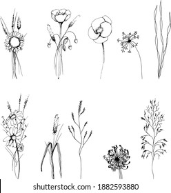 floral vector isolated compositions on postcards and stickers. decorations for greeting cards, invitations, banners, flyers.sunflower, chamomile, grass, wild flowers