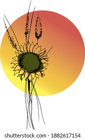 floral vector isolated compositions on postcards and stickers. decorations for greeting cards, invitations, banners, flyers.sunflower, wild flowers