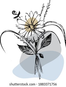 floral vector isolated compositions on postcards and stickers. decorations for greeting cards, invitations, banners, flyers.sunflower, chamomile, grass, wild flowers