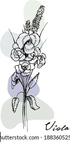Blumenvektorkompositionen einzeln auf Postkarten und Aufklebern. Dekorationen für Grußkarten, Einladungen, Banner, Flyers.viola, Wildblumen