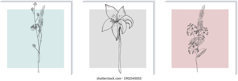 floral vector isolated compositions on painting, panel on the wall. decorations for greeting cards, invitations, banners, flyers.podsolnechnik, chamomile, grass, wild flowers