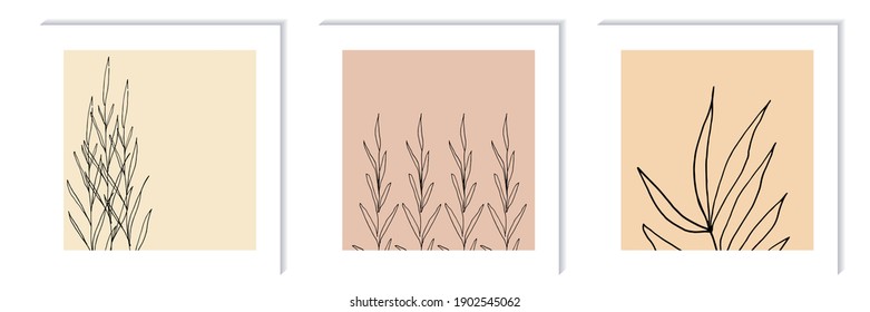 Blumenvektorkompositionen einzeln auf der Malerei, Tafel an der Wand. Dekorationen für Grußkarten, Einladungen, Banner, Flyers.podsolnechnik, Kamille, Gras, Wildblumen