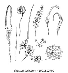 floral vector isolated compositions on postcards and stickers. decorations for greeting cards, invitations, banners, flyers.