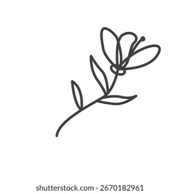 Elemento de línea de Vector floral para diseño decorativo