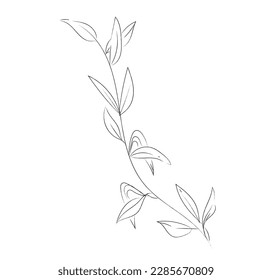 Vector floral minimalista línea simple decoración elegante ilustración de invitaciones de boda dibujadas a mano ilustración. rama de dibujo follaje