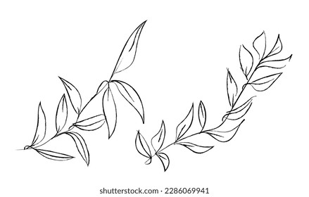 Floral vector minimalistic simple line art elegant decoration hand drawn wedding invitations illustration. foliage drawing branch