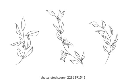 Floral vector minimalistic simple line art elegant decoration hand drawn wedding invitations illustration. foliage drawing branch