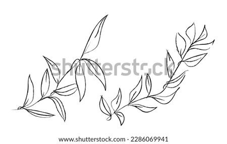 Floral vector minimalistic simple line art elegant decoration hand drawn wedding invitations illustration. foliage drawing branch