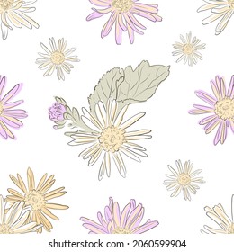 Patrón de vectores florales con crisantemos en colores pasteles. Fondo blanco. Vintage. Ánimo romántico para imprimir.