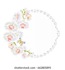 Floral vector round  frame with orchids Phalaenopsis  White flowers tropical plants  and cute small butterfly vintage  festive  background vector illustration hand draw