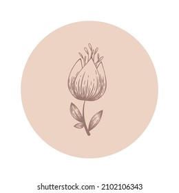 Floral vector round icon with abstract hand drawn flower isolated on white background. Design for logo, highlight covers of social media stories, beauty and cosmetic branding