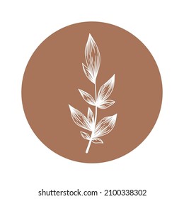 Floral vector round icon with hand drawn abstract branch isolated on white background. Design for logo, cosmetic and beauty branding, highlight covers of social media stories