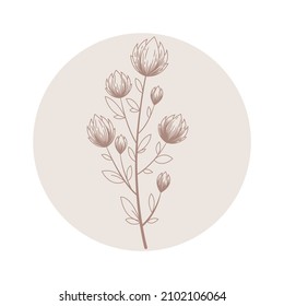 Blumenvektorrundsymbol mit handgezeichnet abstraktem Ast und Blumen einzeln auf weißem Hintergrund. Design für Kosmetik- und Beauty-Branding, Logo, Highlight-Cover für Social Media-Geschichten