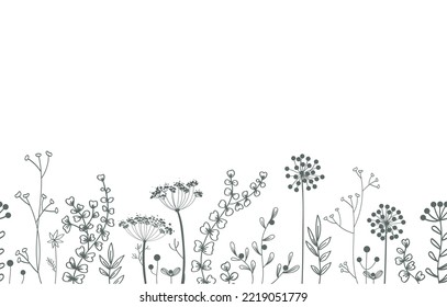 Floral vector seamless border. Background with copy space for text. Plants and leaves